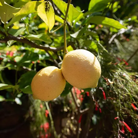 Luxury Country & Rural Palmas *