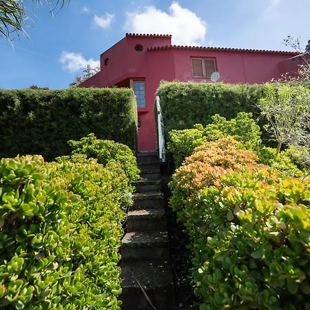Apartment Luxury Country & Rural Palmas Santa Brigida (Gran Canaria)